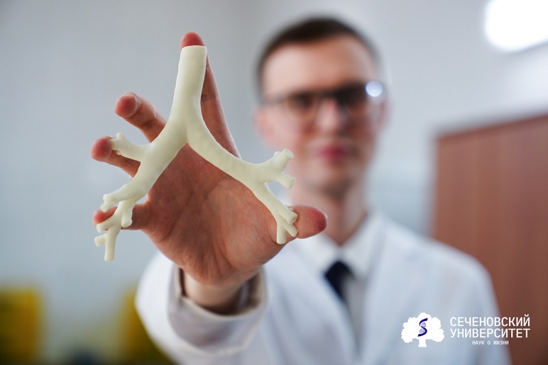 Анатомическая модель